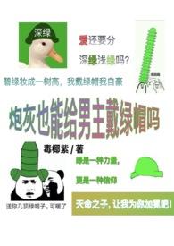 炮灰不可以