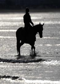 劫婚 短剧