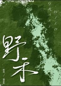 伪兄妹1vnh
