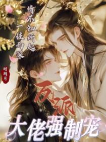 1V1反派大佬