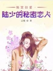 独宠旧爱陆少的秘密恋人说的什么故事