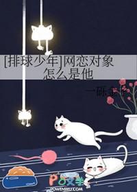 排球少年网王