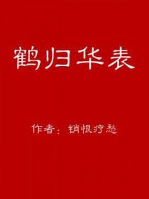 鹤归华表空