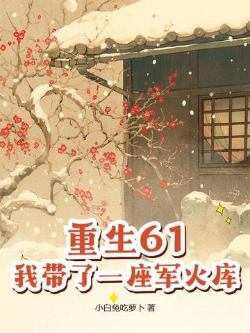 我带了一座军火库