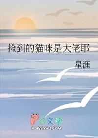 捡到的猫咪是大佬耶免费阅读