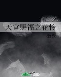 天官赐福花怜塞珠子原文内容