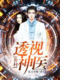 乡村透视神医书旗
