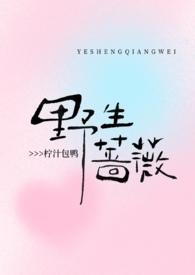 野生蔷薇现言版