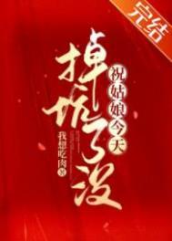 祝姑娘今天掉坑了没有声剧一共多少集
