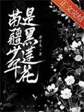 苗疆少年长什么样