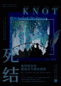 死结(姐弟骨科h)理昭