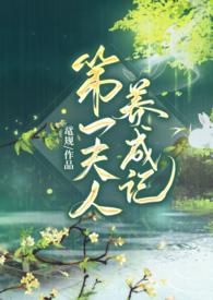 第一夫人txt宝书