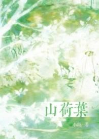 山荷叶花是保护植物吗