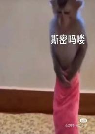泡芙小姐动画解说