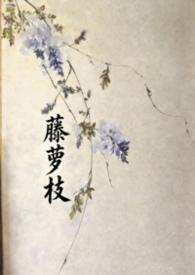 藤萝枝写