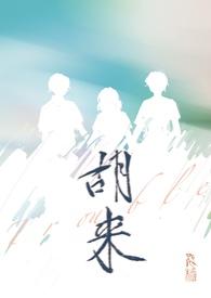 胡来NP