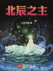 北辰之主笔趣阁免费版
