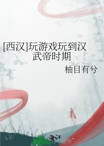 西汉玩游戏玩到汉武帝时期