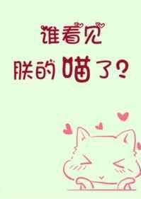 谁看见了朕的喵了rtxt
