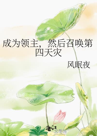领主之召唤玩家