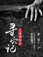寻墓盗术电视剧好看吗