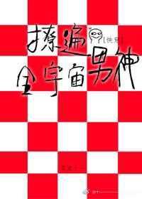 撩遍全世界