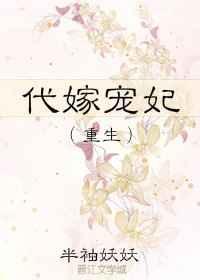 代嫁宠妃男主