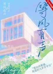 等风有声晋江