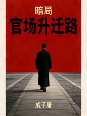 官场小暗示