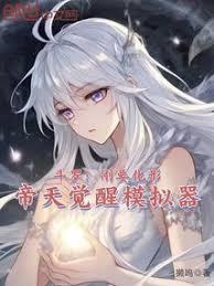 帝天觉醒模拟器免费阅读