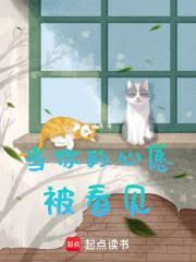 当你的心愿被看见免费阅读