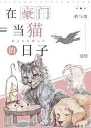 在豪门当猫的日子番外