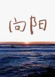 逐光而行