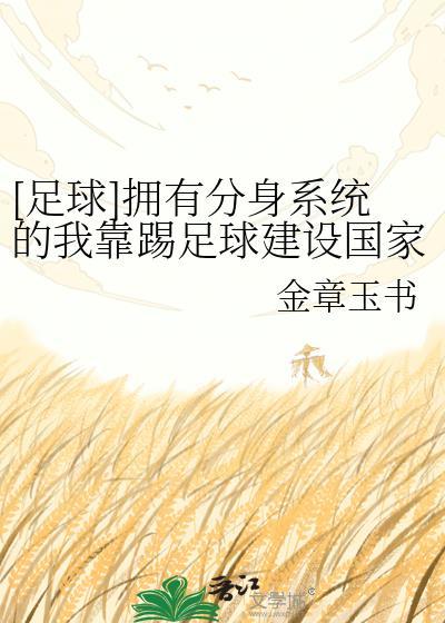 踢足球有系统的
