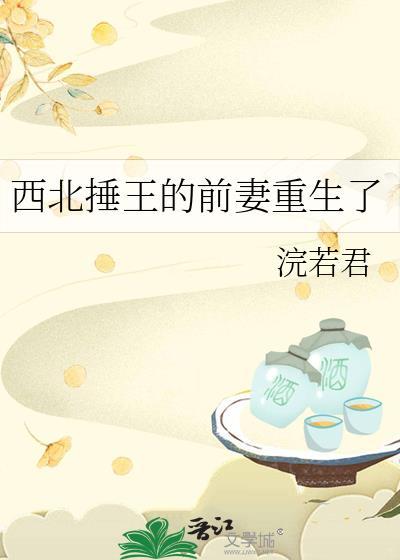 西北王都有谁