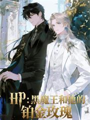 hp黑魔王的铂金baby