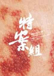 特殊案件调查组4