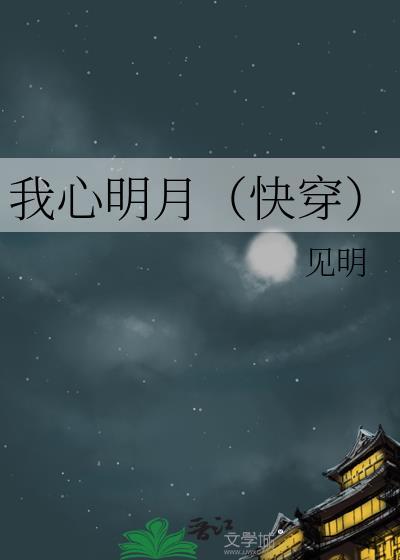 我心明月txt
