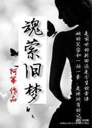 魂萦旧梦歌词是什么意思