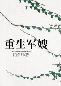 重生军嫂文