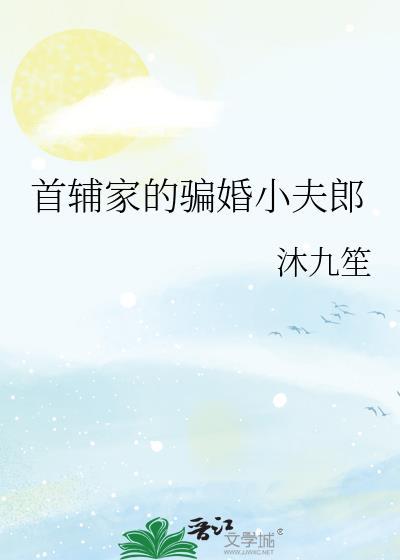 首辅家的骗婚小夫郎晋江