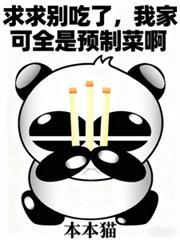 我家可全是预制菜啊TXT