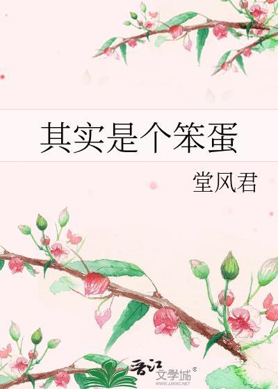 其实是个笨蛋 堂风君