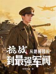 抗战德械师