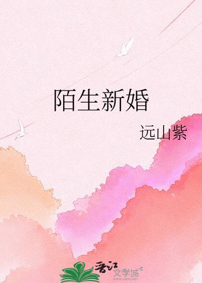 陌生新婚远山紫TXT百度
