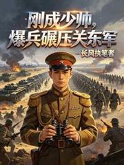 民国少帅全文免费阅读