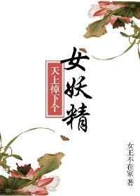 天上掉下个美娇娘全文免费阅读