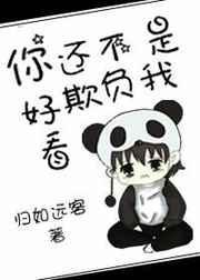 你还不是欺负我机智