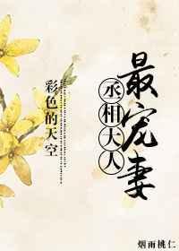 丞相大人最宠妻作者彩色的天空