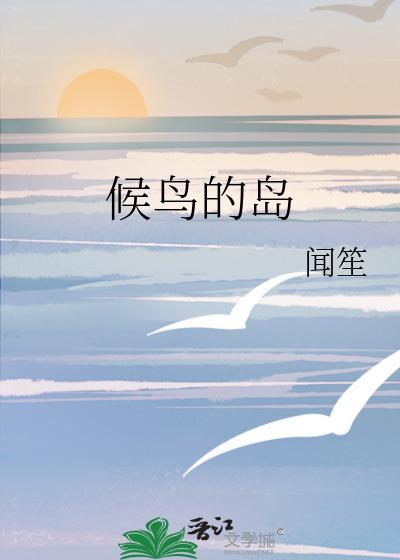 候鸟的岛by闻笙txt